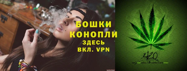 дживик Протвино
