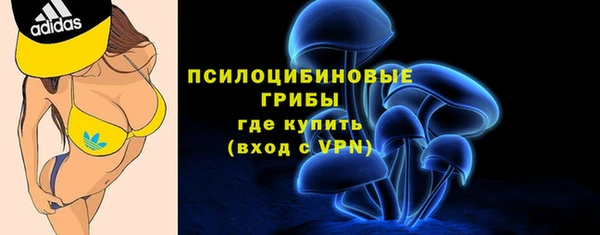 индика Покровск