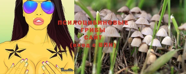 индика Покровск