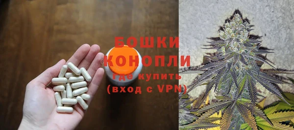 дживик Протвино