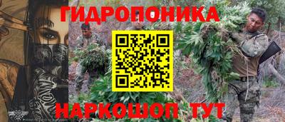 a pvp Будённовск