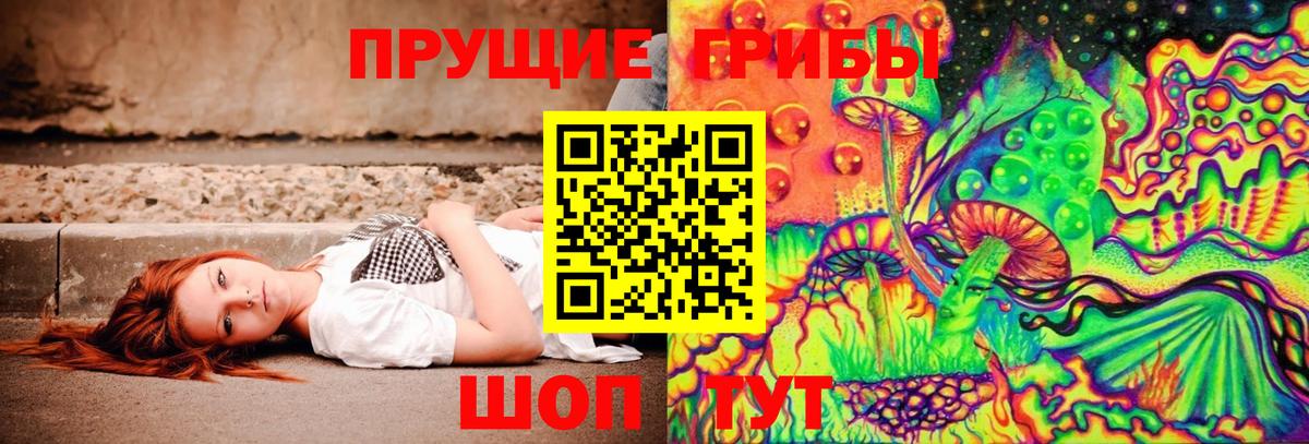 Псилоцибиновые грибы Ревда