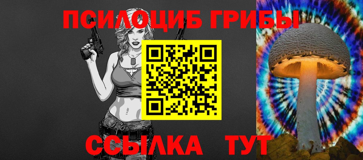 Псилоцибиновые грибы GOLDEN TEACHER Ревда