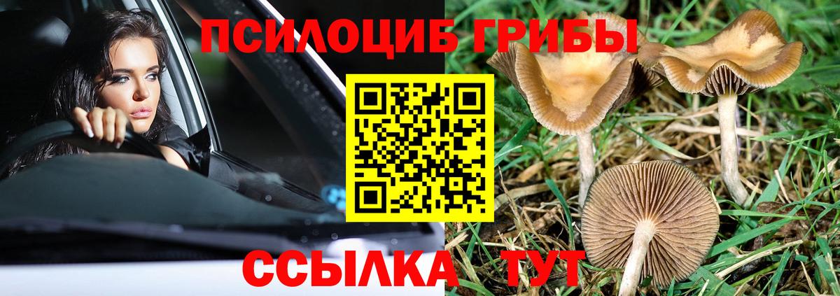 купить наркотики сайты  Псилоцибиновые грибы Psilocybine cubensis  Вход с VPN  Галлюциногенные грибы Psilocybine cubensis  Ревда 