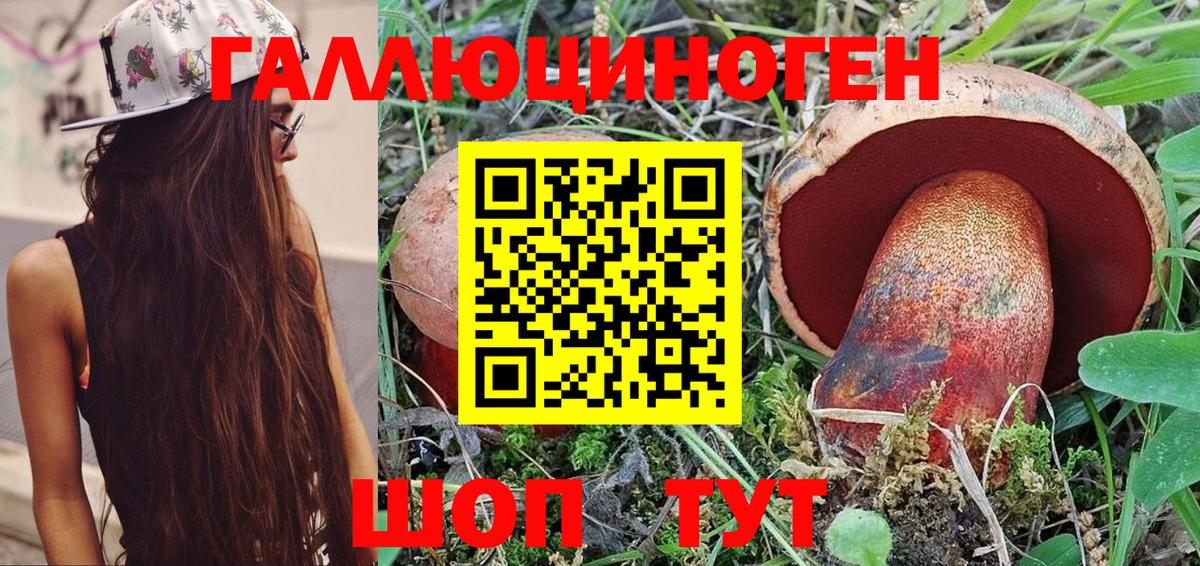 сколько стоит  Ревда  Галлюциногенные грибы Psilocybine cubensis 